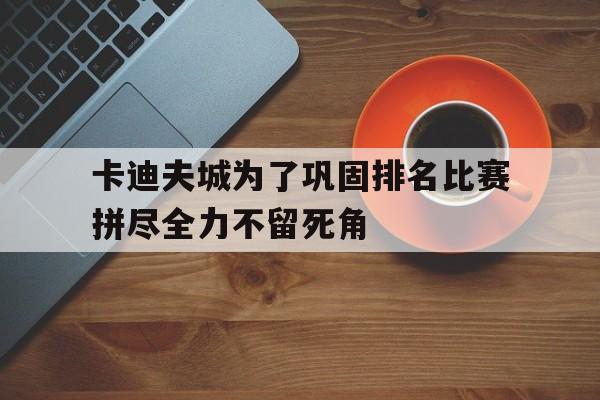 完美体育-卡迪夫城为了巩固排名比赛拼尽全力不留死角(卡迪夫城是哪个国家)